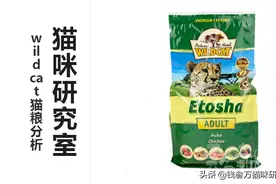 wildcat猫粮分析，难得又发现个靠谱的进口猫粮图片