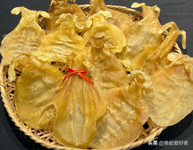 花胶赤嘴 2026年花胶赤嘴公、母