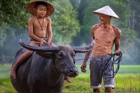 闲云野鹤...图片