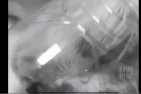 被开水浇烫的怀孕母猫死亡，央视评论上热搜图片