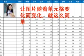 Excel高级技巧——图片随心所欲跟随单元格变化而变化图片