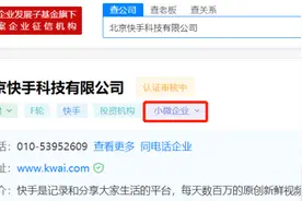 低调挣大钱？快手、万达...这些公司竟然都是小微企业图片