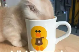 带你认识生活中的噪音，如何判断噪音是否对你有害？图片