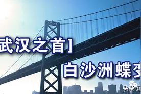 大武汉之首 白沙洲蝶变记图片