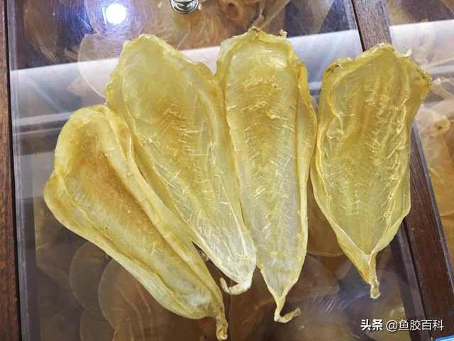 神经母细胞瘤能吃花胶 2026年神经母细胞瘤喝中药能治好吗