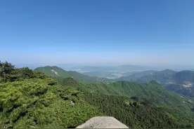 【药中之王，一药一效】图片