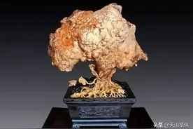 高收藏价值的沙漠漆籽料究竟长什么样？图片