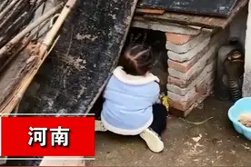 萌娃进狗窝扒拉狗崽子，犹如探囊取物，狗妈妈的神奇反应令人发笑图片