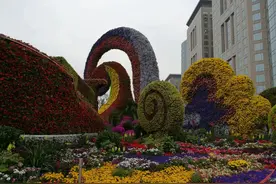 翻开手机相册清理图片时发现两年前的照片还在，和大家分享一下图片