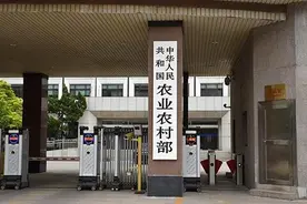 农业农村部：实施“五大行动”推进水产绿色健康养殖图片