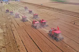 中国一拖：“东方红”全球走红图片
