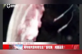 网上疯传“猪肉里有寄生虫”，对居民和商贩产生不小的影响视频封面