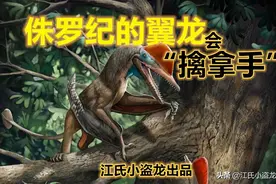 侏罗纪的翼龙竟然会“擒拿手”图片