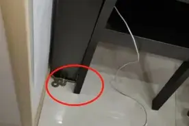 今天，杭州不同的地方有蛇频繁出没！有一条爬上六楼……图片