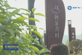 产业项目建设年 醴陵启动征地拆迁“秋季净地攻势”图片