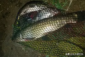 夏季夜钓，天气、时段、钓位的选择技巧，这些是钓到鱼的基础图片