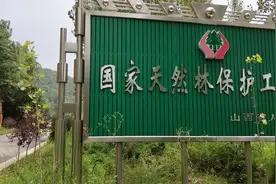 林草科普|中国天然林资源保护工程图片