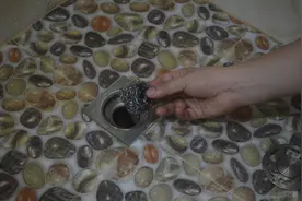 在卫生间下水道里塞一块钢丝球，用途真棒，省钱又实用，快试一试图片