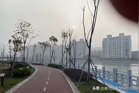 第一次晨跑15公里后的感悟图片