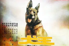 电影《犬王》惹争议，导演为追求真实伤害军犬，网友：有必要吗图片