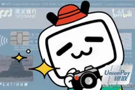 携手bilibili 浦发银行信用卡撬动Z世代消费市场图片