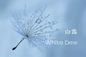白露，愿你一切安好图片