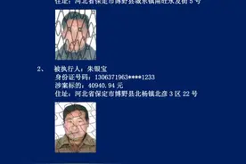 博野县人民法院公布最新一期失信被执行人名单图片
