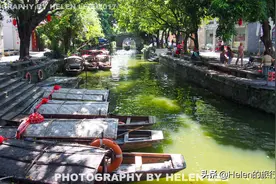 距离广州56公里，这座岭南水乡值得一去，而且免费图片