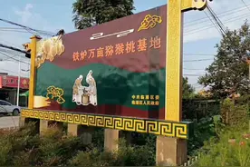 西安市临潼区铁炉乡猕猴桃上市啦图片