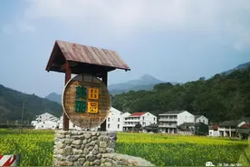 2021瓯海泽雅油菜花竞相开放，正月踏青赏花，千万别错过图片