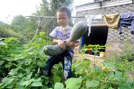 爸爸去世，妈妈瘫痪，留下6岁孩子顽强求生，独自照顾重病妈妈图片
