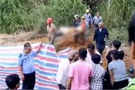 四川雅安一桩荒唐的“借种生子”引发的血案图片