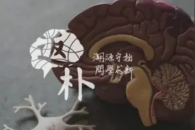 治疗帕金森：大脑深处，一颗核桃大小的谜团图片