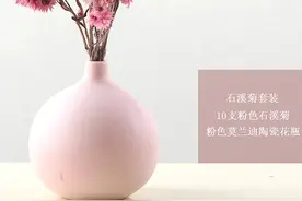 手工植物干花精心搭配，莫迪兰色系花瓶，效果唯美，清新可爱图片