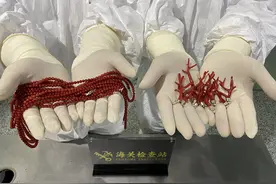 117克“红色黄金”！重庆江北机场海关查获15件红珊瑚制品图片