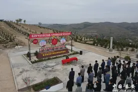 【学党史 悟思想 办实事 开新局】魏店镇：扎实开展党史学习教育 推动各项工作高质量发展图片