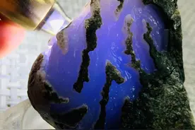 南齐紫罗兰茄子图片