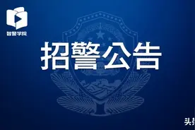 广东省考公告来了  ！今年计划招录12308人！图片