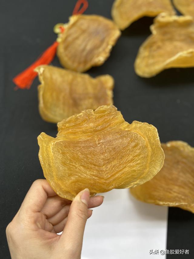 印尼红鸡赤嘴鱼胶一斤多少钱 2026年野生红鸡赤嘴鱼胶 印尼红鸡赤嘴鱼胶一斤多少钱 2026年野生红鸡赤嘴鱼胶