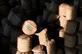 您所不知道的香港普洱自然干仓图片