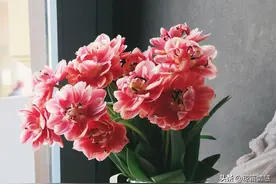“冷战过后，她删掉他所有异性好友”你的乱吃醋，毁了我好多温柔图片