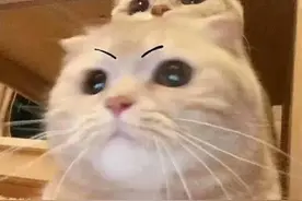 受台风影响，今日起赣州这些列车与航班停运​或取消！​图片