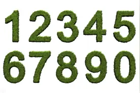 数学世界漫游指南——初中数学之有理数（三）0是自然数吗？图片