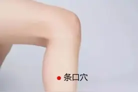 腿上穴位肩周炎，在我们身体小腿处，有一个名叫条口穴的穴位图片