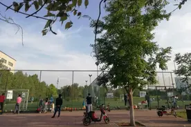 立夏就需要小太阳的陪伴图片