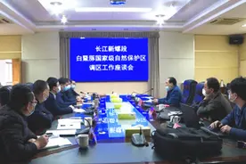 长江新螺段白鳍豚国家级自然保护区专家来临湘市调研图片