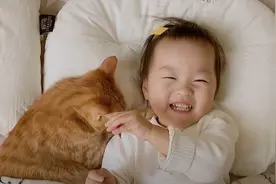 橘猫为争枕头日日大大出手 妹妹暖心与喵分一半 25张幸福照曝光图片