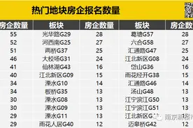 史无前例！今天南京一口气拍出28幅地块，河西江北房价有变…图片
