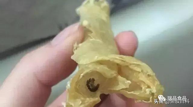 花胶和发霉的药材放一起了 2026年花胶发霉了还能吃吗