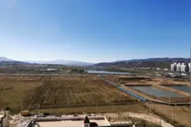 承包地、宅基地自愿永久退出，怎么选都躲不掉心中的痛图片